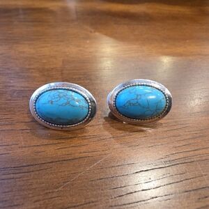 Faux Turquoise Oval Stone Silver-Tone Clip Earrings